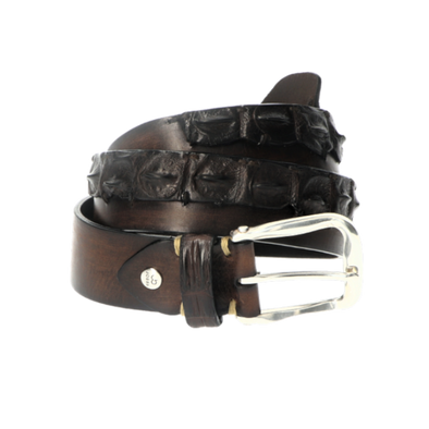 Dark brown exclusive leather & crocodile belt