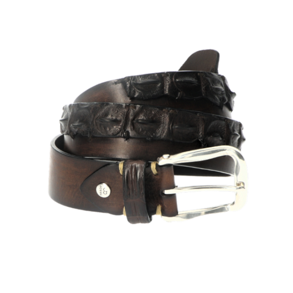 Dark brown exclusive leather & crocodile belt